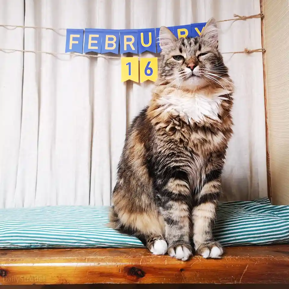 Mark Your Calendars: February 16