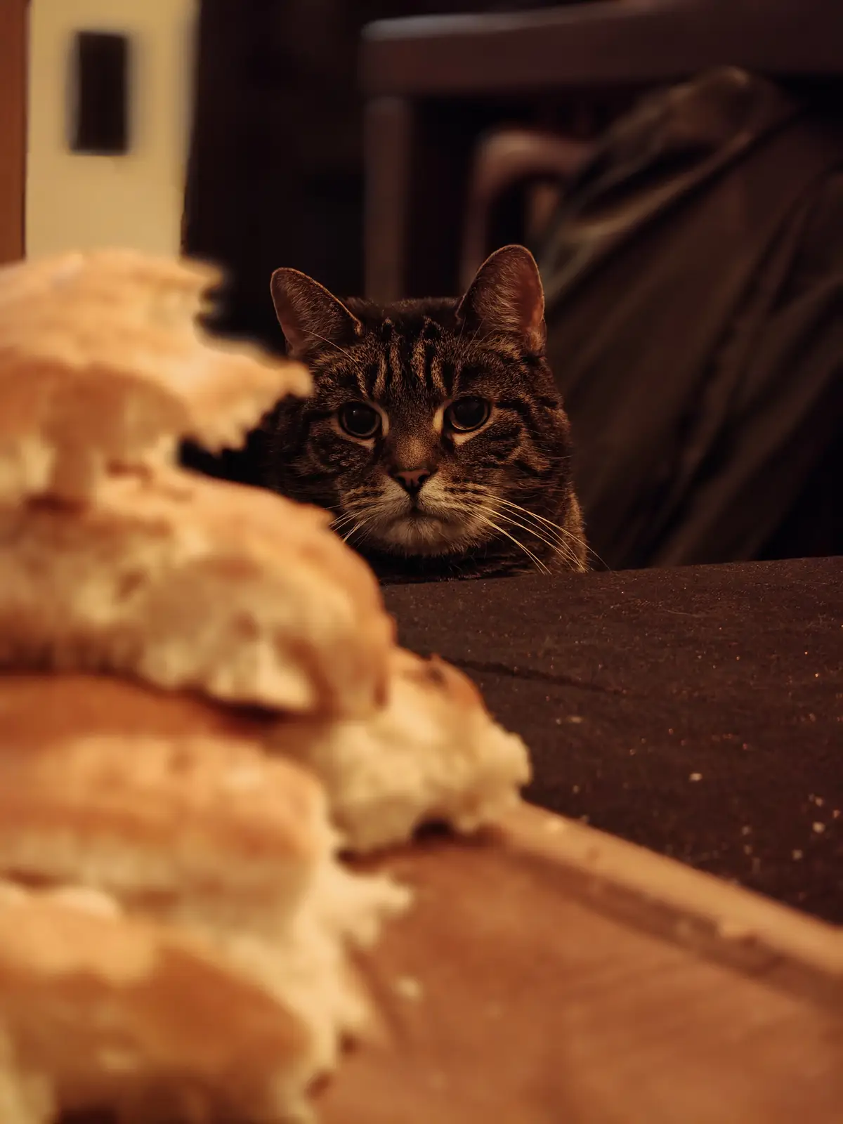 A tabby cat with wide, intense eyes peers over the back of a dark couch, staring intently at a blurred pile of bread in the…