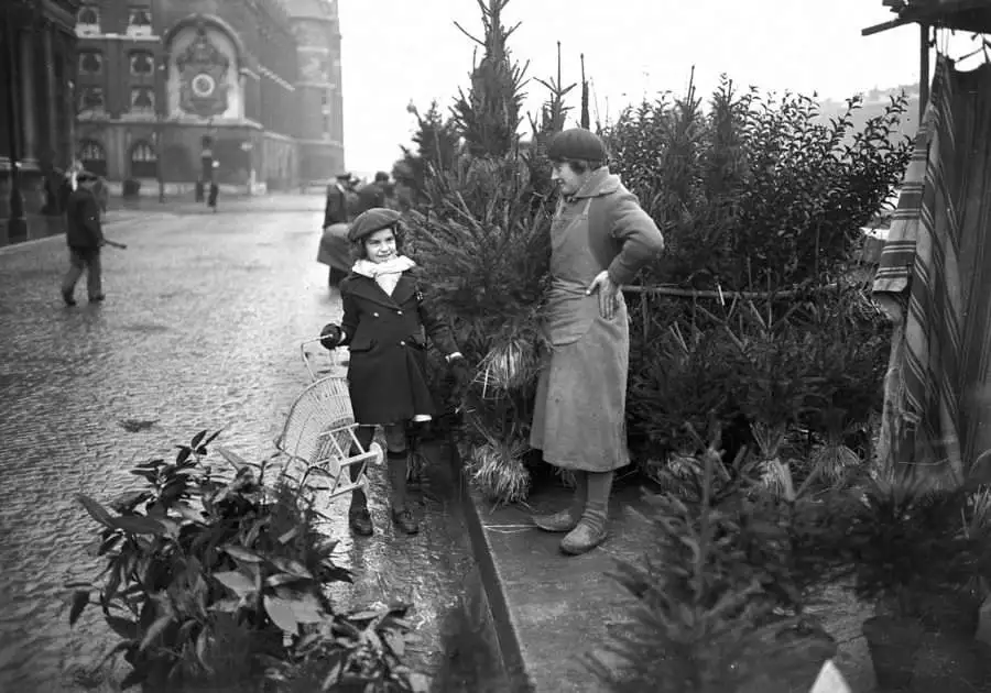 Christmas Tree Sales from 1941: A Blast from the Past