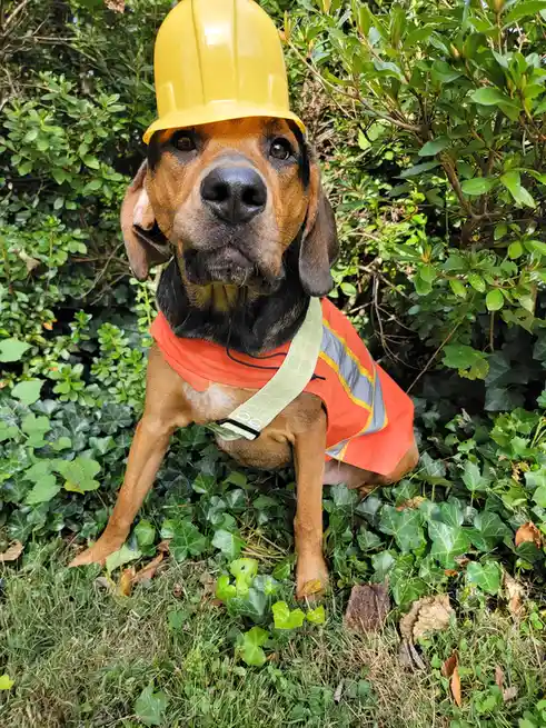 Edgar Takes Charge as Chief of Safety