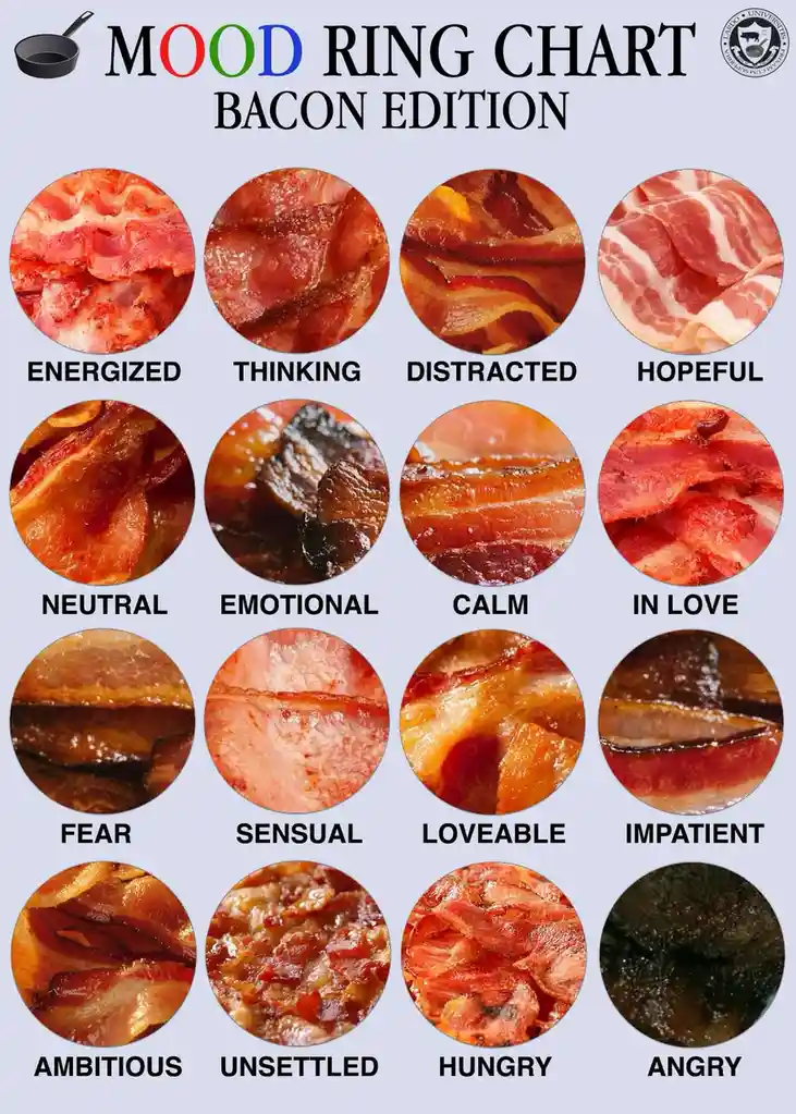 A chart titled 'MOOD RING CHART BACON EDITION' displays 16 circular images of bacon at various levels of doneness, each…