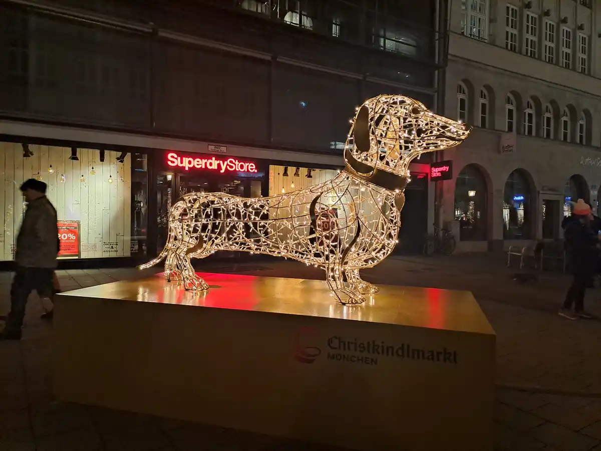 Adorable Winter Puppies Bringing Joy