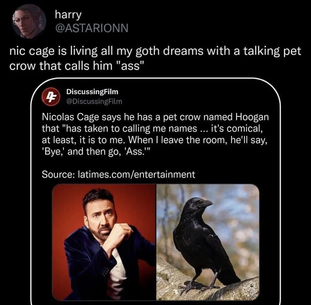 The image shows a split-screen: on the left, actor Nicolas Cage in a dark velvet jacket, and on the right, a black crow…