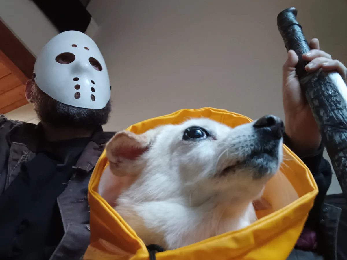 A person wearing a white hockey mask and holding a bat stands behind a small white dog in a yellow bag. The dog looks up…