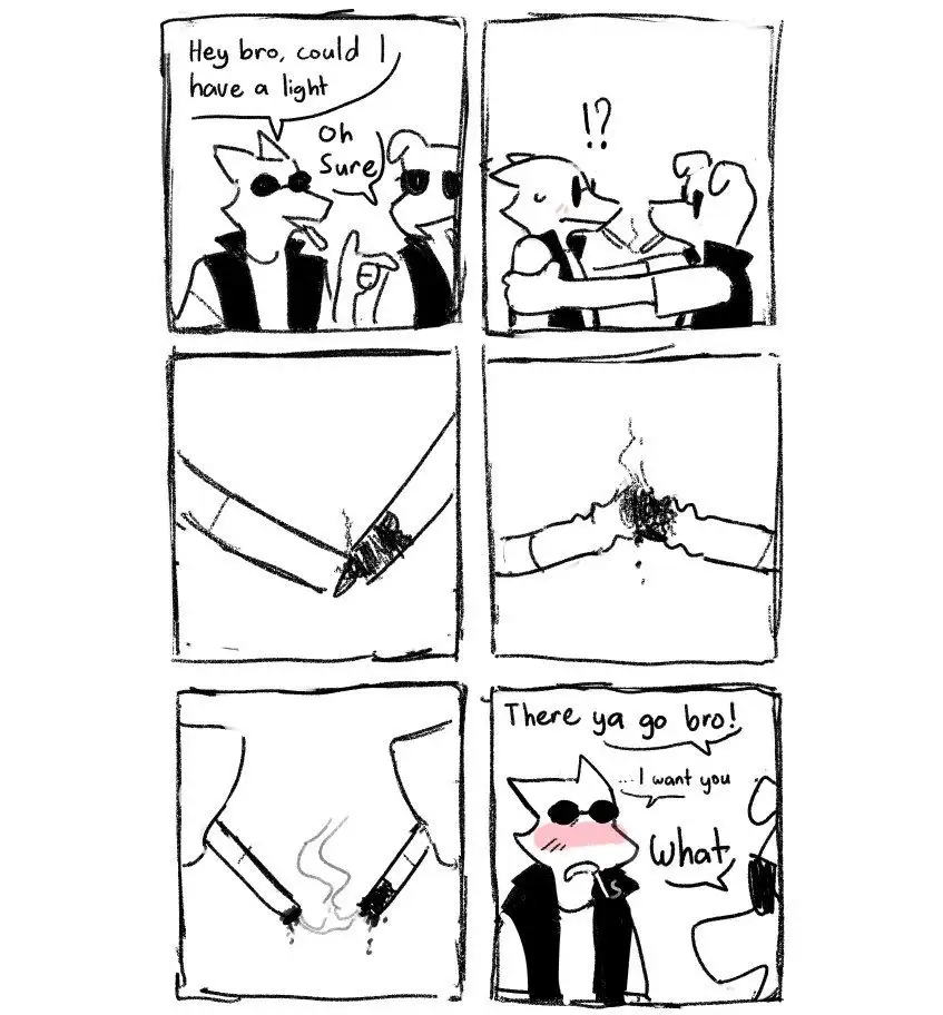 A six-panel comic strip featuring two anthropomorphic foxes in sunglasses. The first panel shows one fox asking the other…