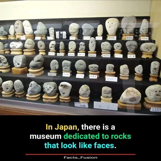 The Unamused Gallery: A Stoney-Faced Collection