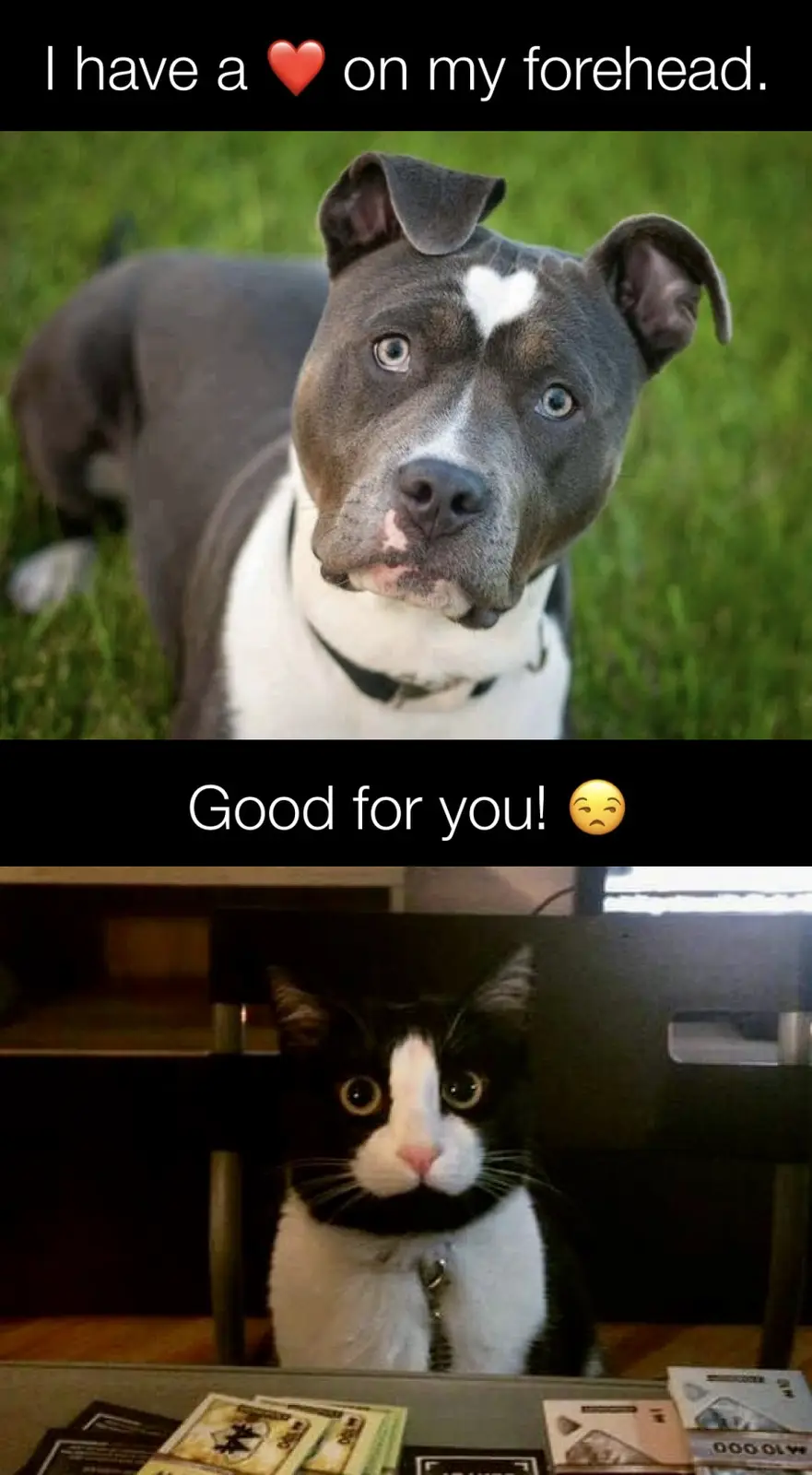 That's Awesome! Good For You!