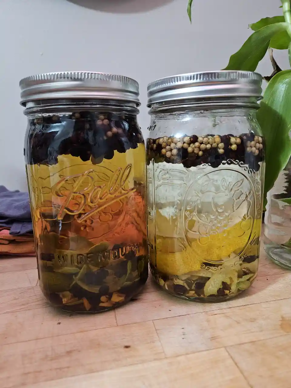 Two glass Ball wide-mouth mason jars sit side by side on a wooden surface, each filled with yellowish oil and various spices…