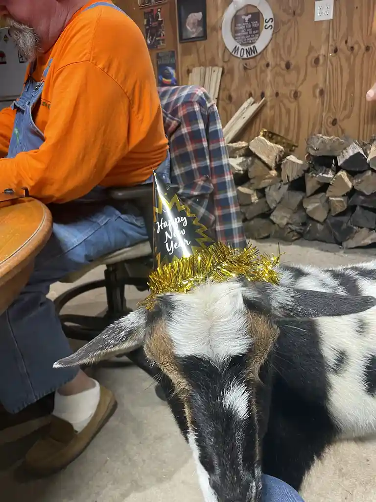 George's Cheerful New Year Wishes!