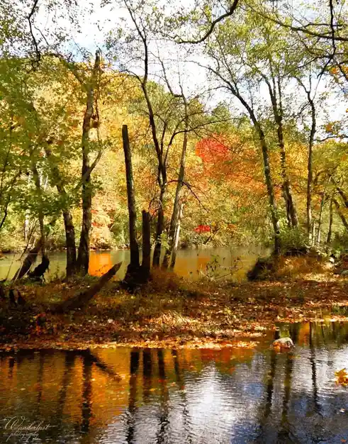 Embracing the beauty of autumn.