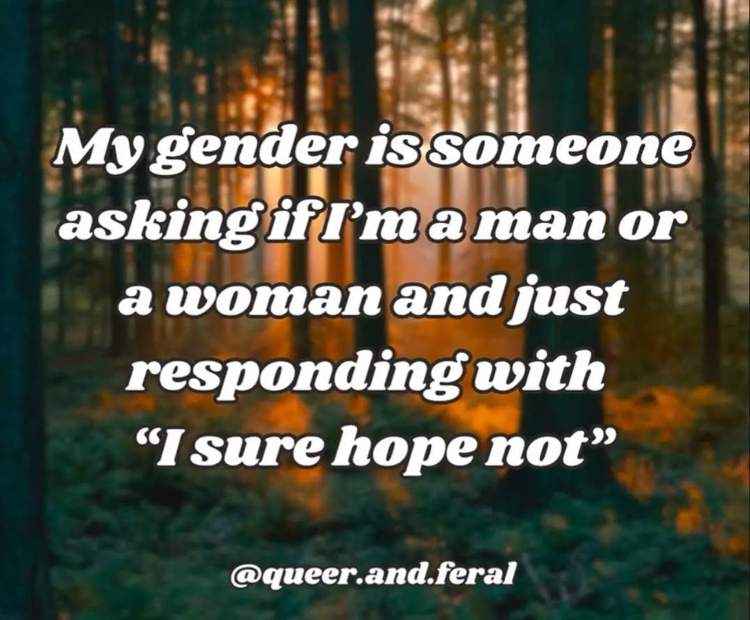 A serene forest scene with tall trees and golden sunlight filtering through, overlaid with white text that reads 'My gender…