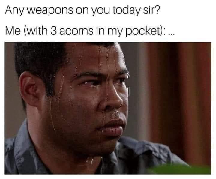 Watch Out, Acorn Enthusiasts!