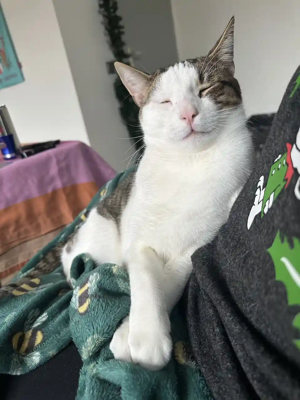 Just chilling and enjoying the moment