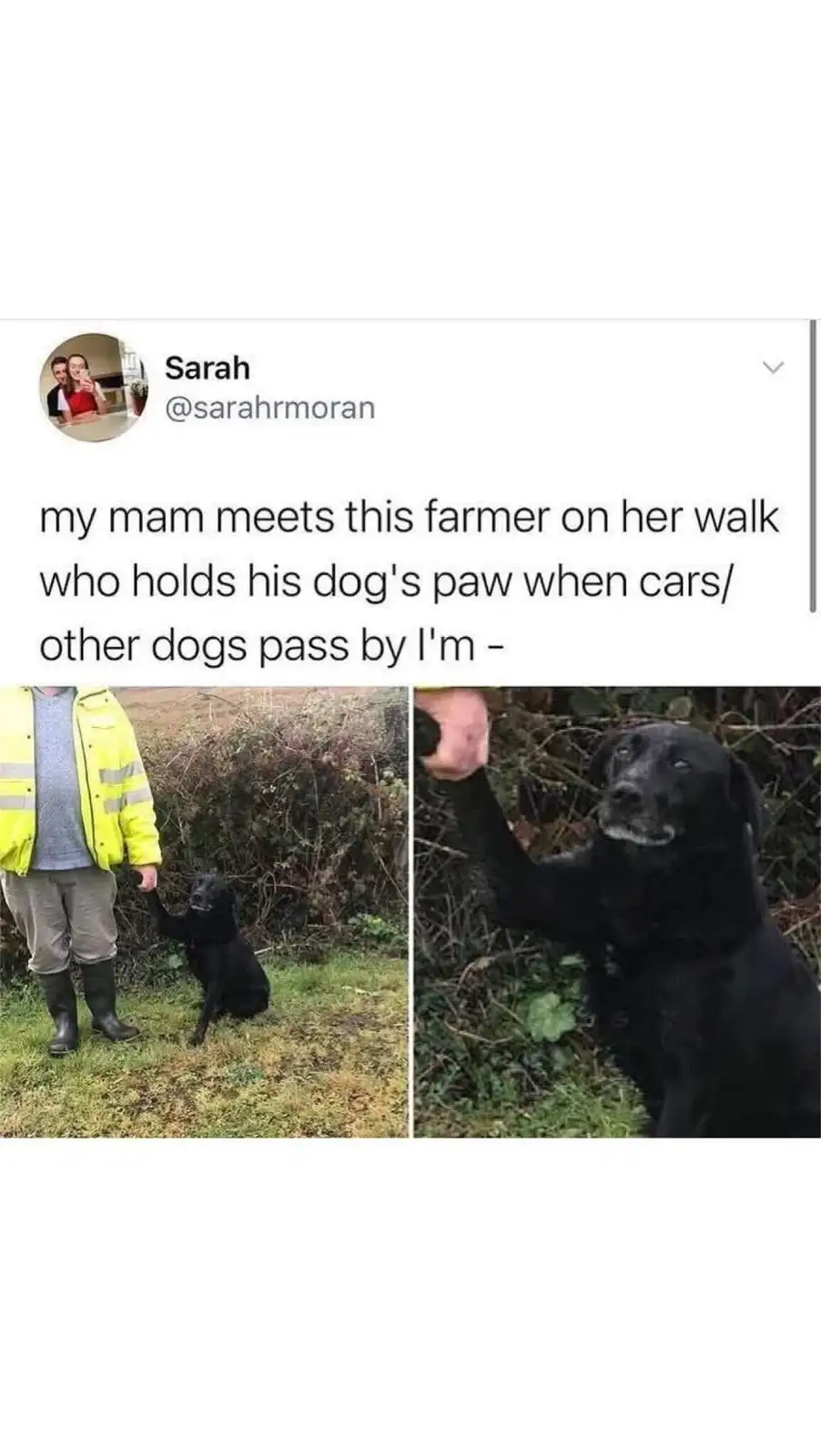 A tweet by Sarah shows a man in a yellow high-visibility jacket standing with a black dog on a grassy path. The dog is…