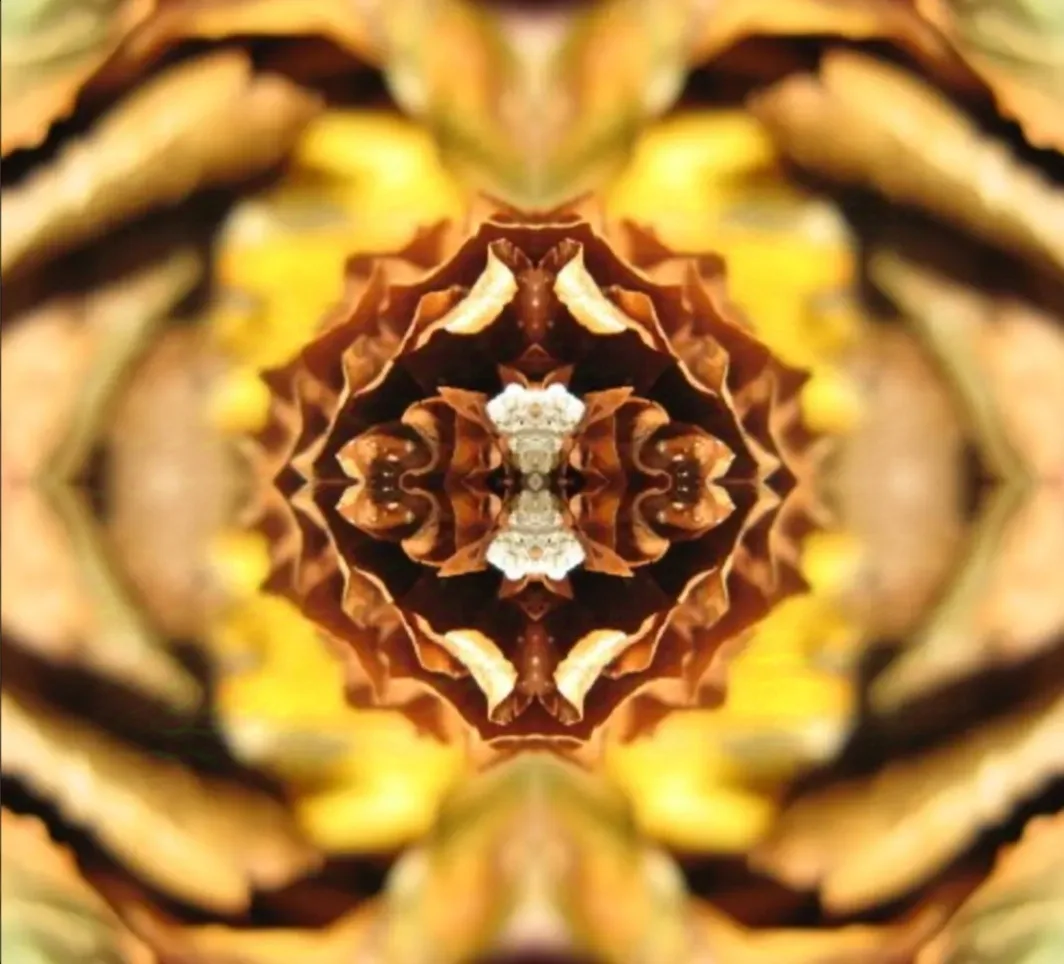 A kaleidoscopic image of a flower or plant with symmetrical, repeating patterns in shades of yellow, brown, and white…