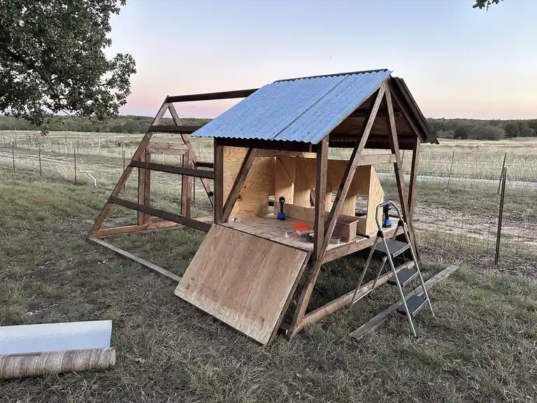 Building My Dream Chicken Coop: Progress Update