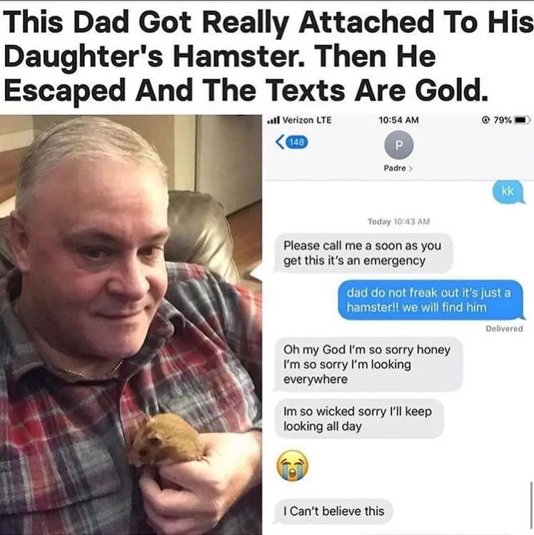 A man with gray hair in a plaid shirt holds a small brown hamster in his hands, looking affectionately at it. Beside him is…