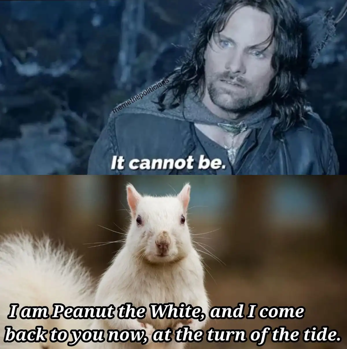 The image is a two-panel meme. The top panel shows a man with long dark hair and a serious expression, overlaid with the…