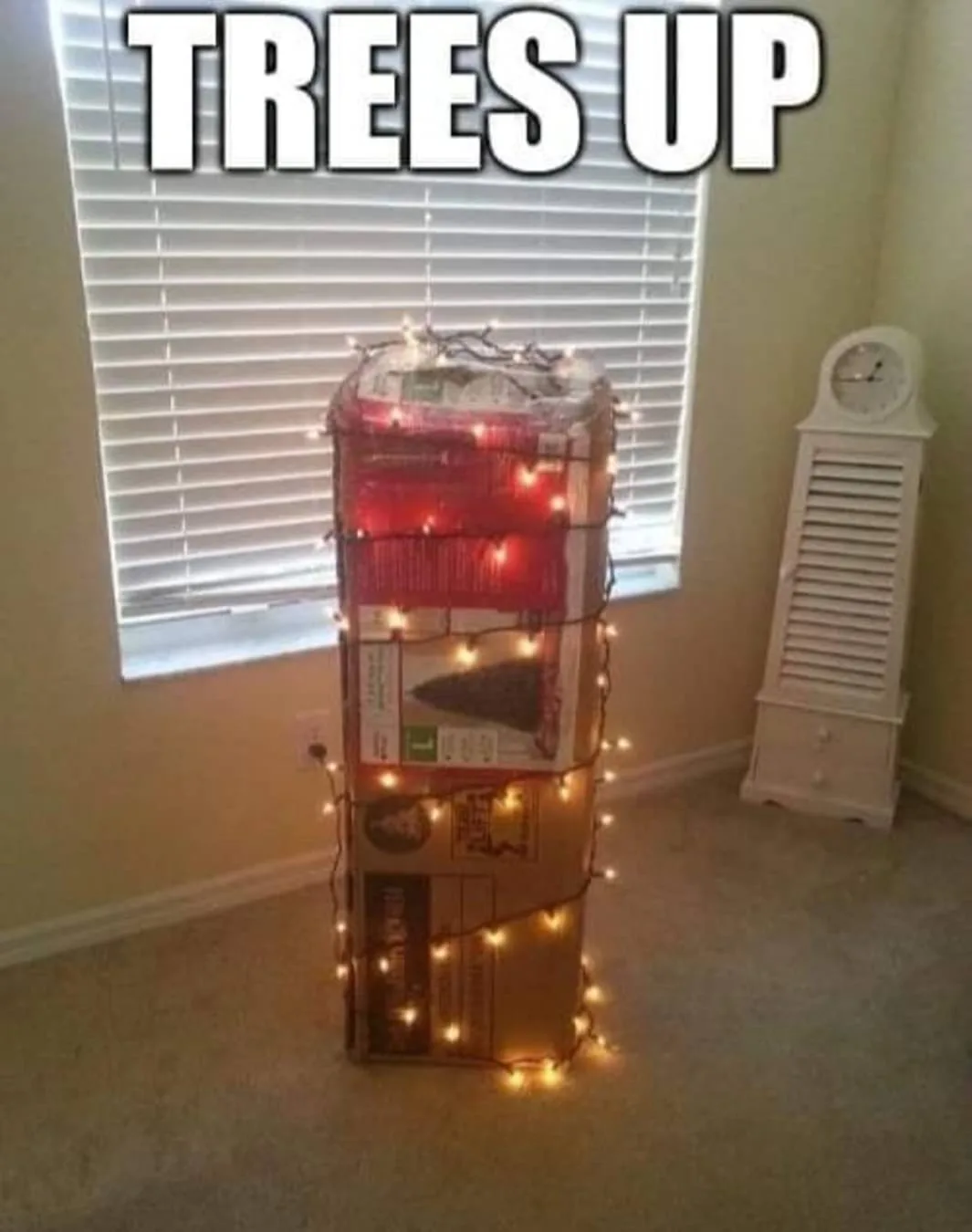 A stack of three cardboard boxes, likely containing Christmas trees, is wrapped in string lights and stands upright in a…
