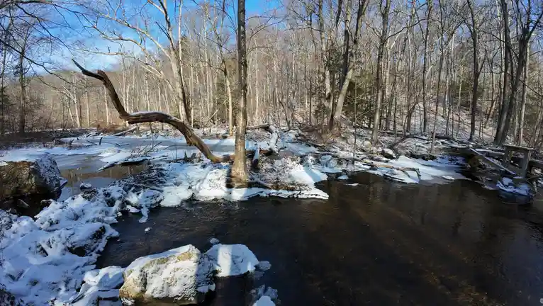 A winter forest scene with a flowing stream partially covered in snow and ice, bare trees, and a wooden bridge. Overlaid…