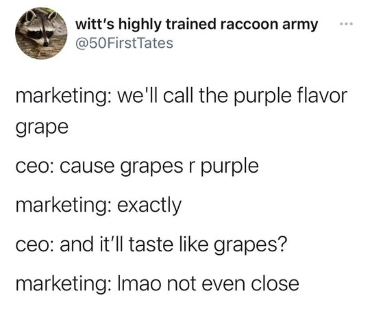 A screenshot of a Twitter post by 'witt's highly trained raccoon army' showing a dialogue between marketing and a CEO about…