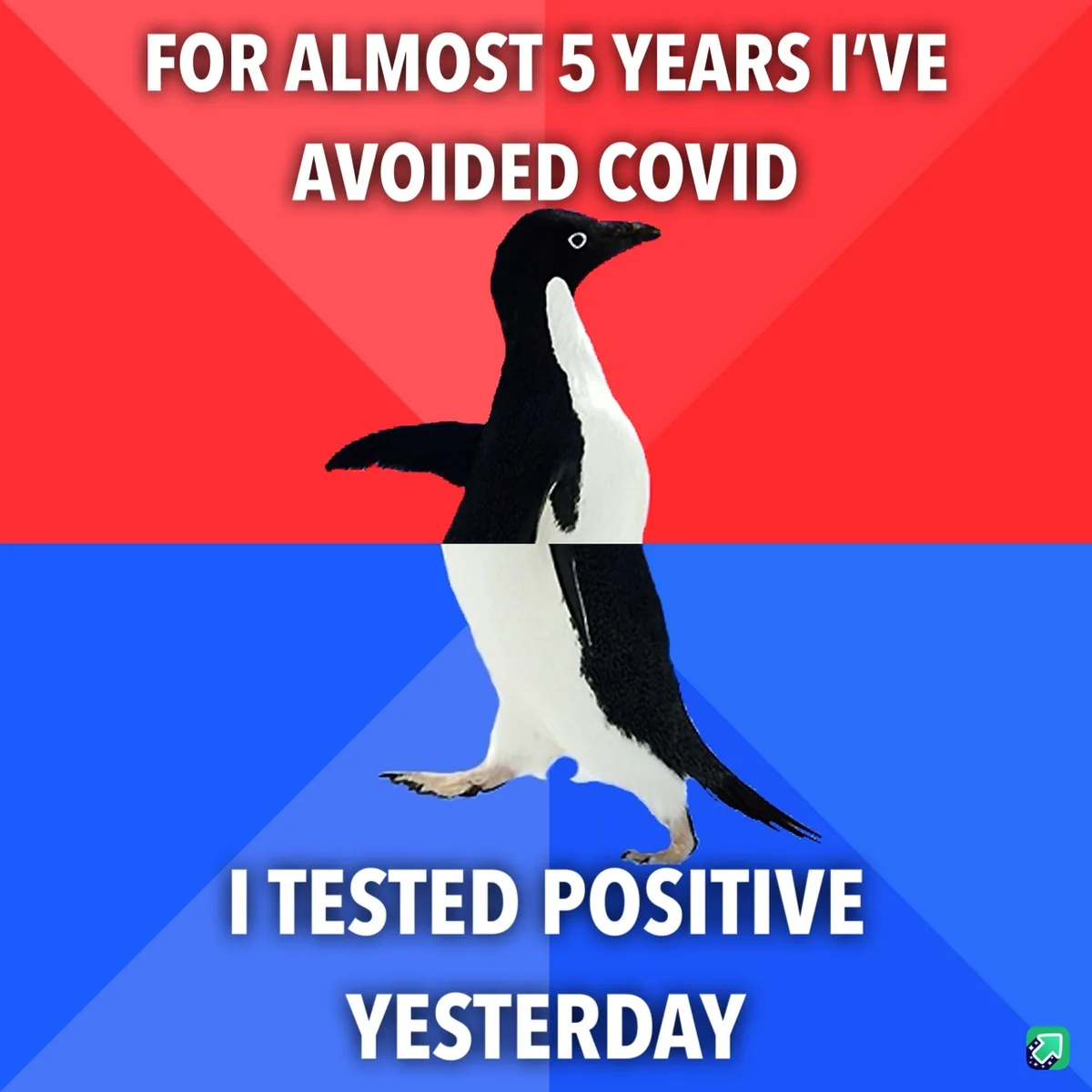 A penguin stands centered against a red and blue background, with white text above stating 'FOR ALMOST 5 YEARS I'VE AVOIDED…