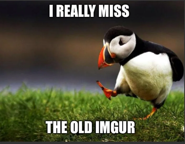 A penguin stands on green grass with a blurred background, looking down and to the side with a sad expression. White bold…