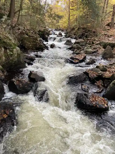 A photo of a fast-flowing, turbulent stream rushing over dark rocks in a forest with autumn foliage. The overlaid text reads…