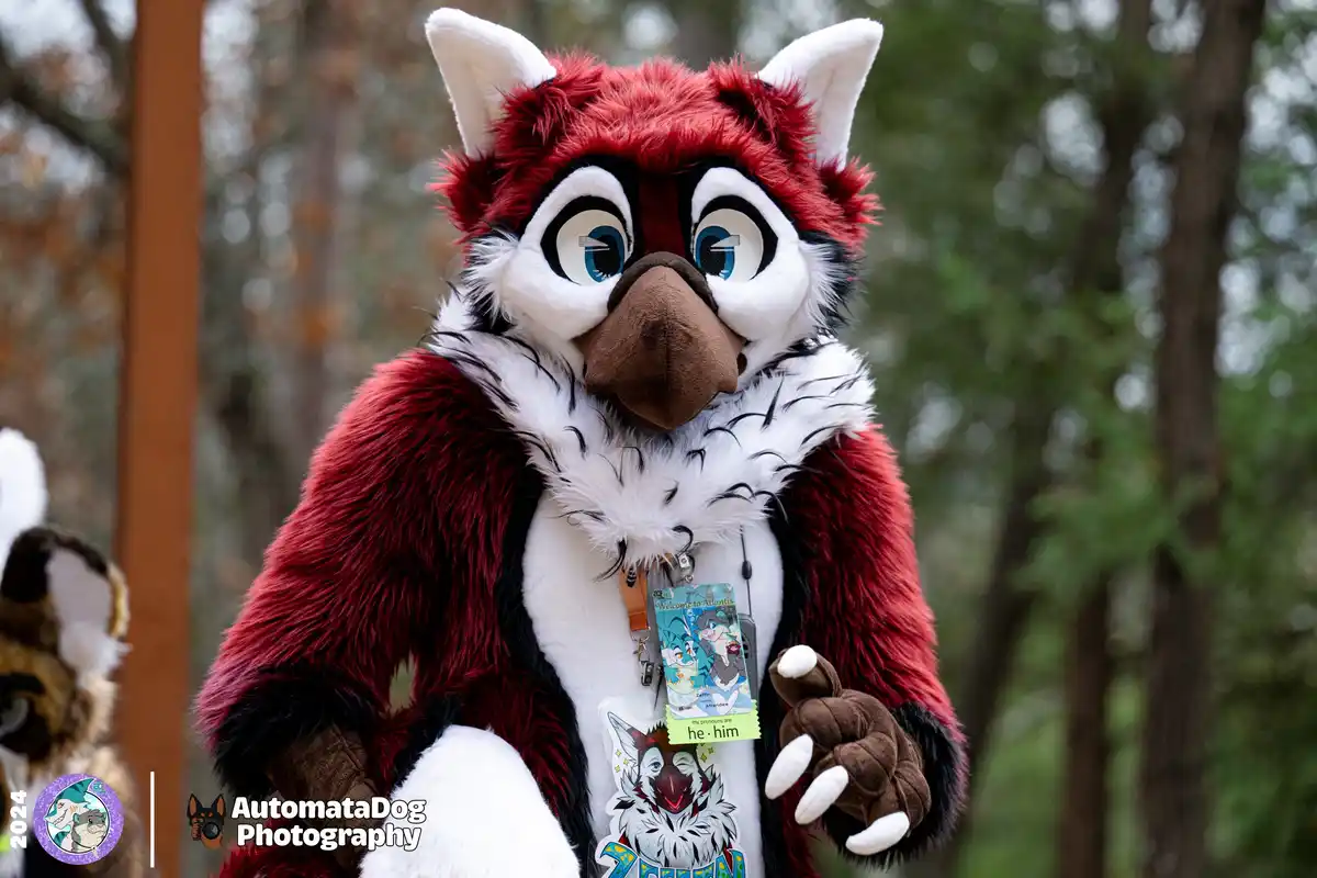 A person in a red, white, and black fursuit resembling a fox or wolf stands outdoors in a forest, wearing a lanyard with a…