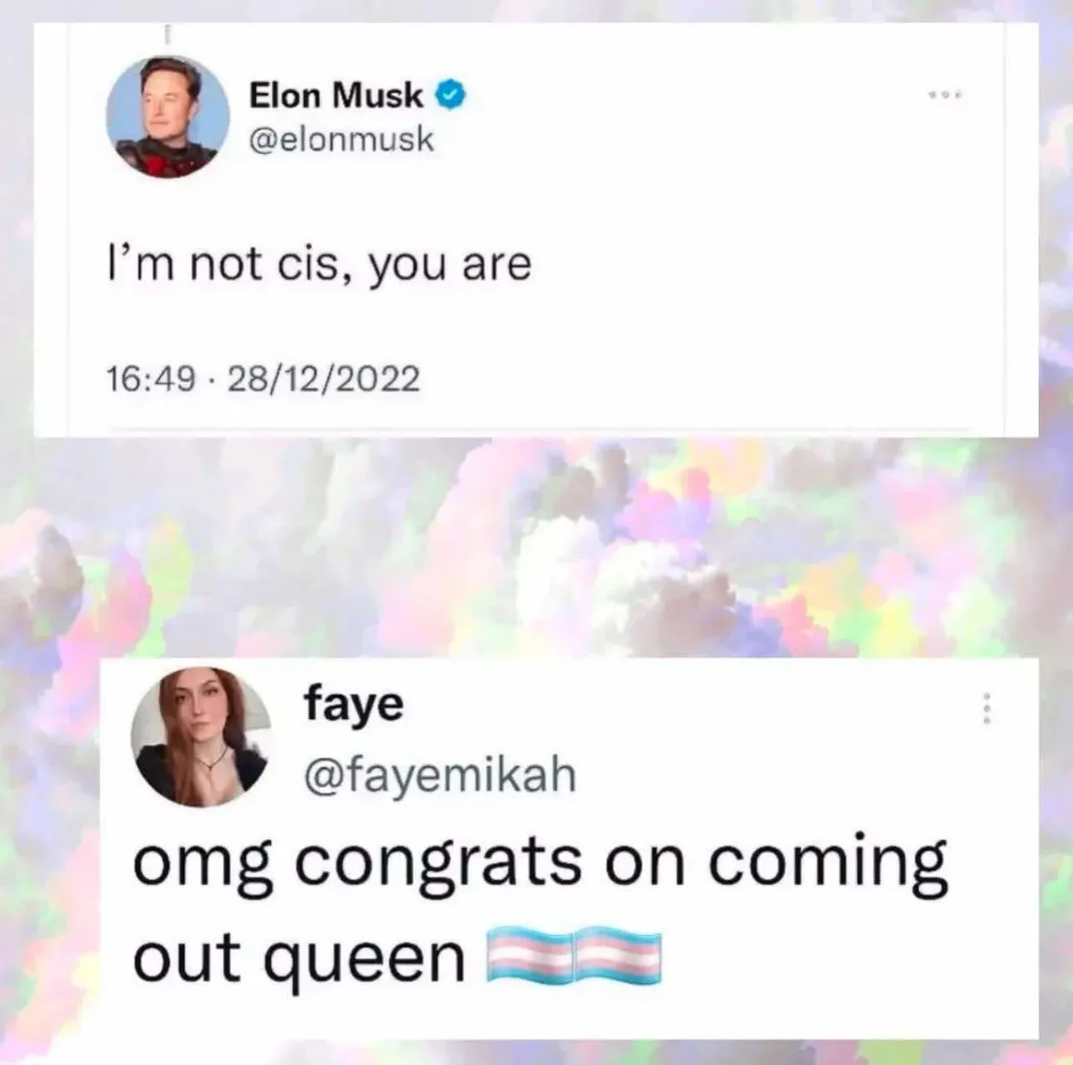 The image displays two Twitter posts. The top post is from Elon Musk's verified account, reading 'I’m not cis, you are'…