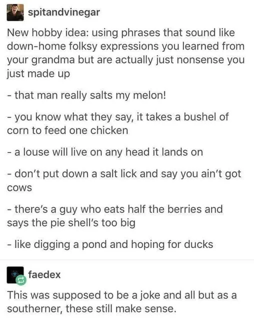 A screenshot of a Reddit comment thread where one user lists made-up, nonsensical phrases mimicking Southern folk sayings…