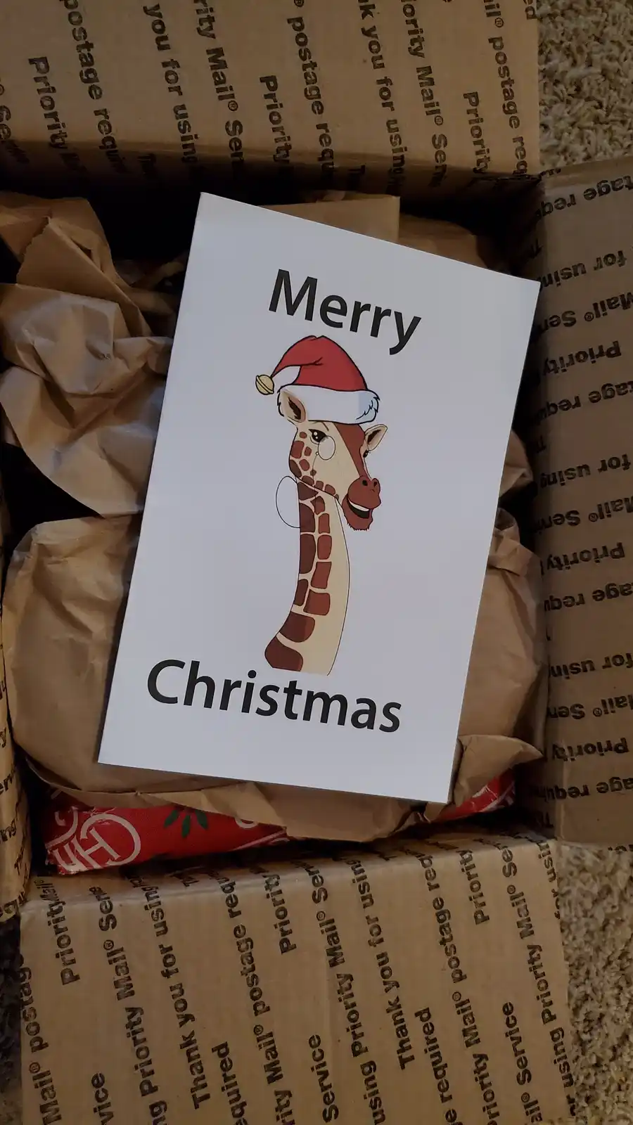 The Elves Have Made Their Magical Delivery!