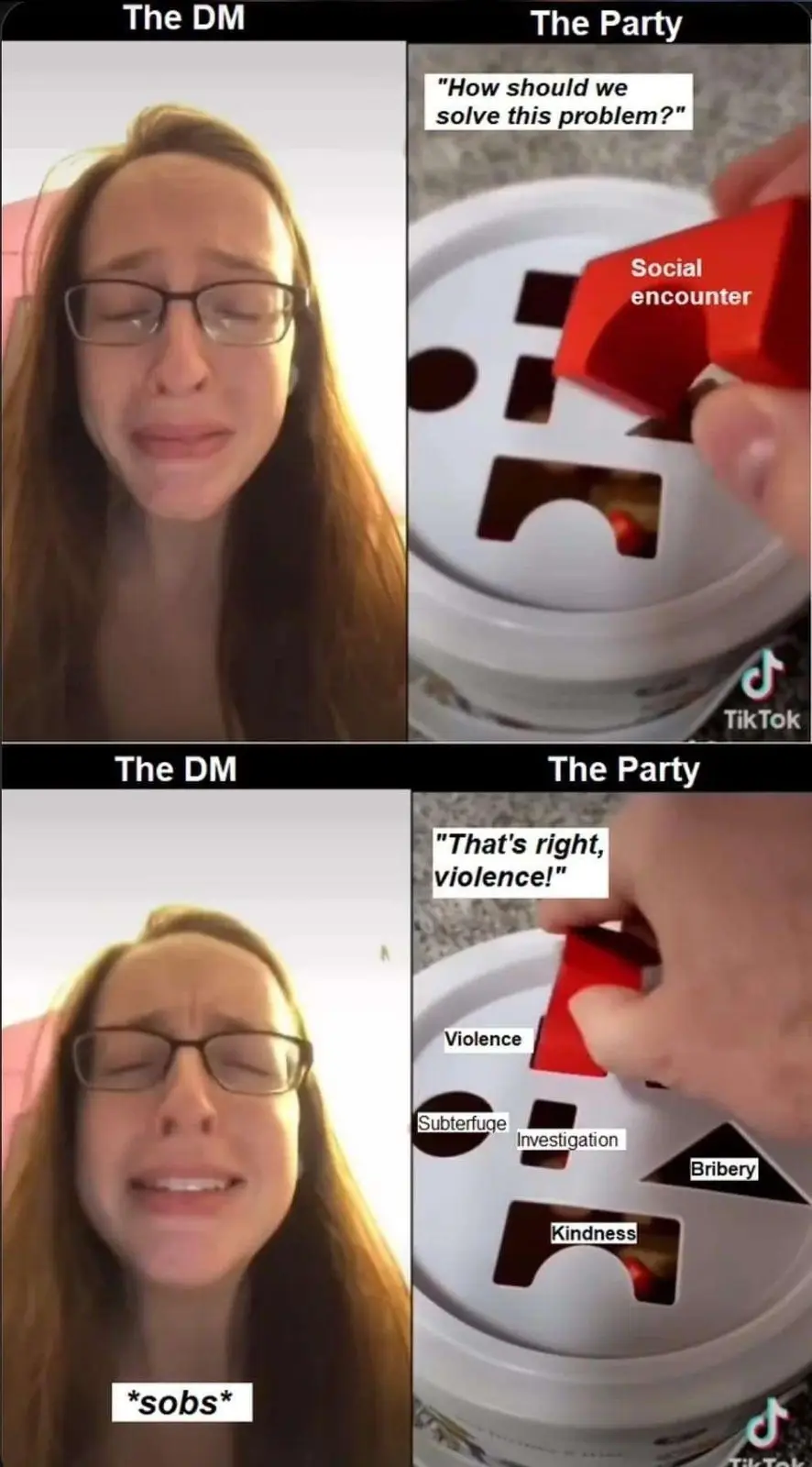 The meme shows a split-screen format with two panels. In the top panel, a woman labeled 'The DM' is crying, while 'The…