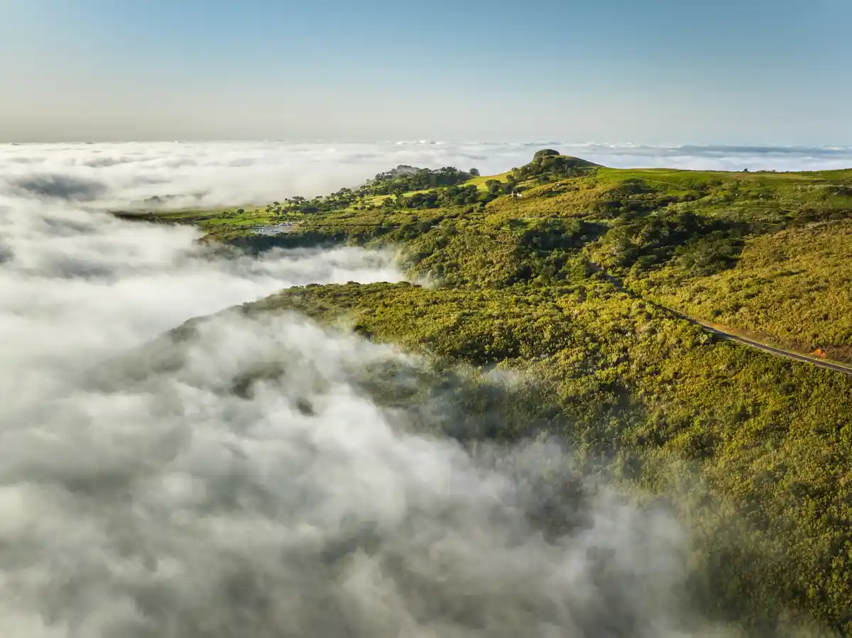 An aerial view shows rolling green hills rising above a thick blanket of clouds, with a winding road visible on one slope…