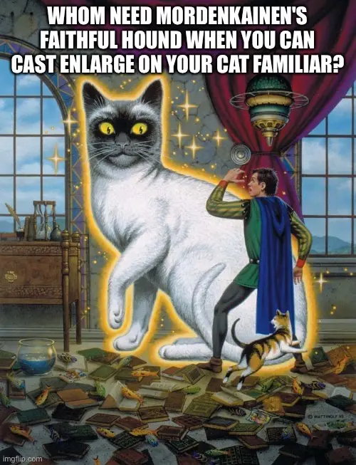 A wizard in a green tunic and blue cape stands beside a giant white cat with glowing yellow eyes, casting a spell from a…