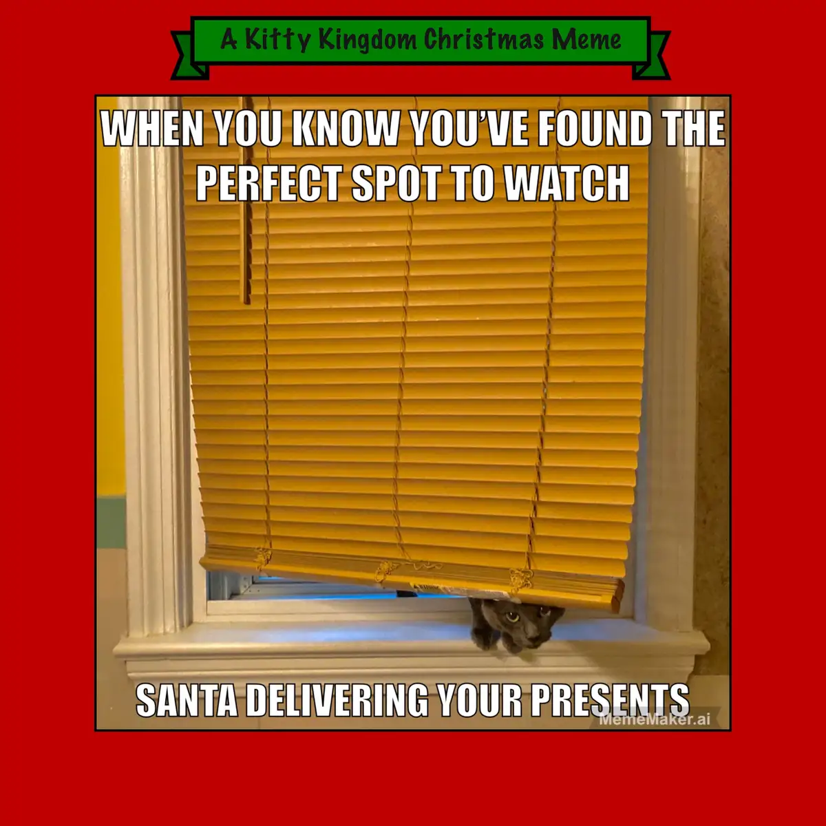 A gray cat peeks out from under partially open yellow window blinds, looking intently outward. The image has white text…
