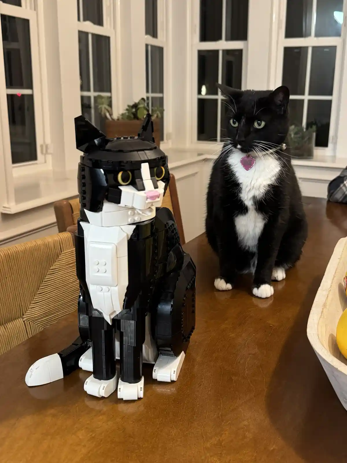 A black and white cat sits on a wooden table next to a black and white LEGO robot cat model, both facing forward. The real…