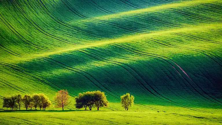 Meadows slope steeply into foothills across Moravia, a historic region in Central Europe, now part of the Czech Republic…