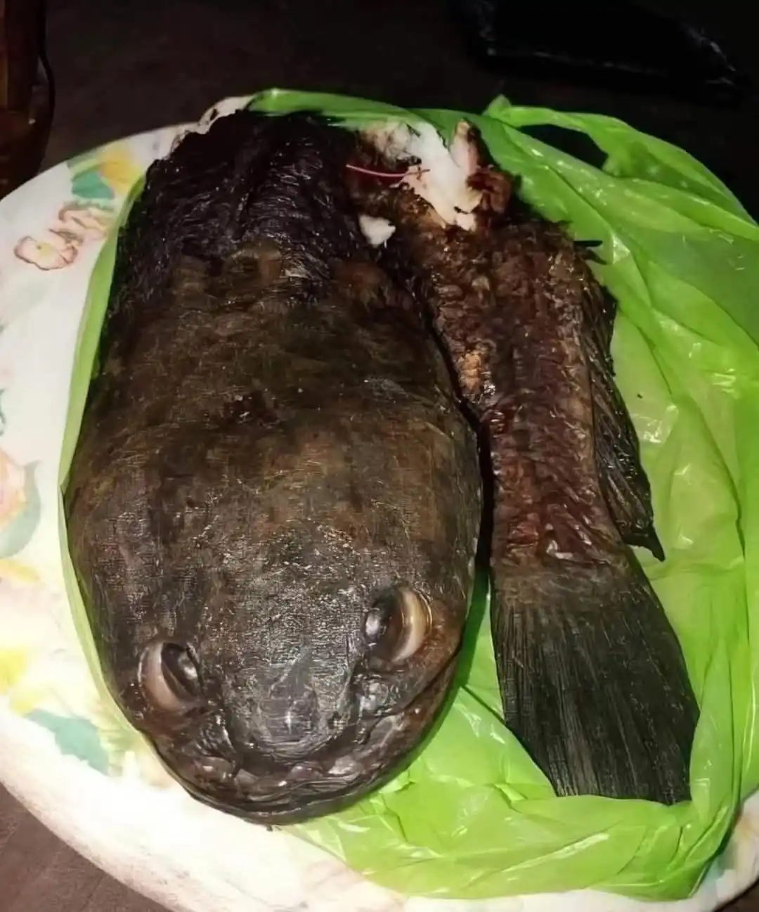 A cooked fish with dark, charred skin and a large head rests on a green plastic bag inside a floral-patterned plate. The…