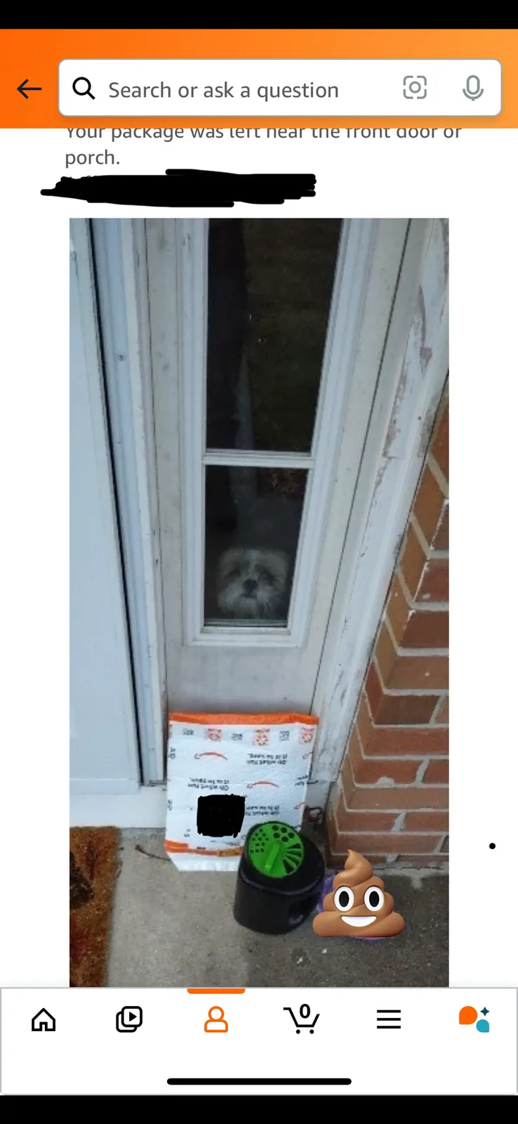 A screenshot of a delivery app interface shows a package left on a porch beside a door with a small dog looking out the…