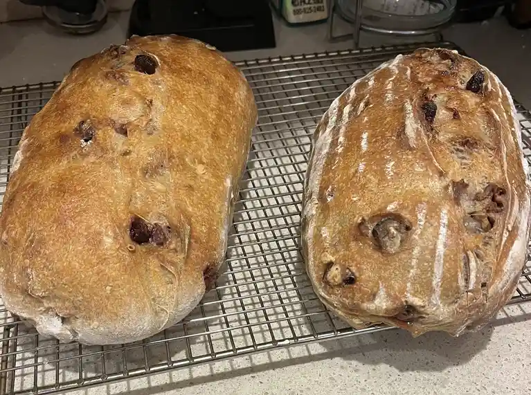 Two loaves of rustic, golden-brown bread with visible raisins and flour dusting sit on a metal cooling rack. The loaf on the…