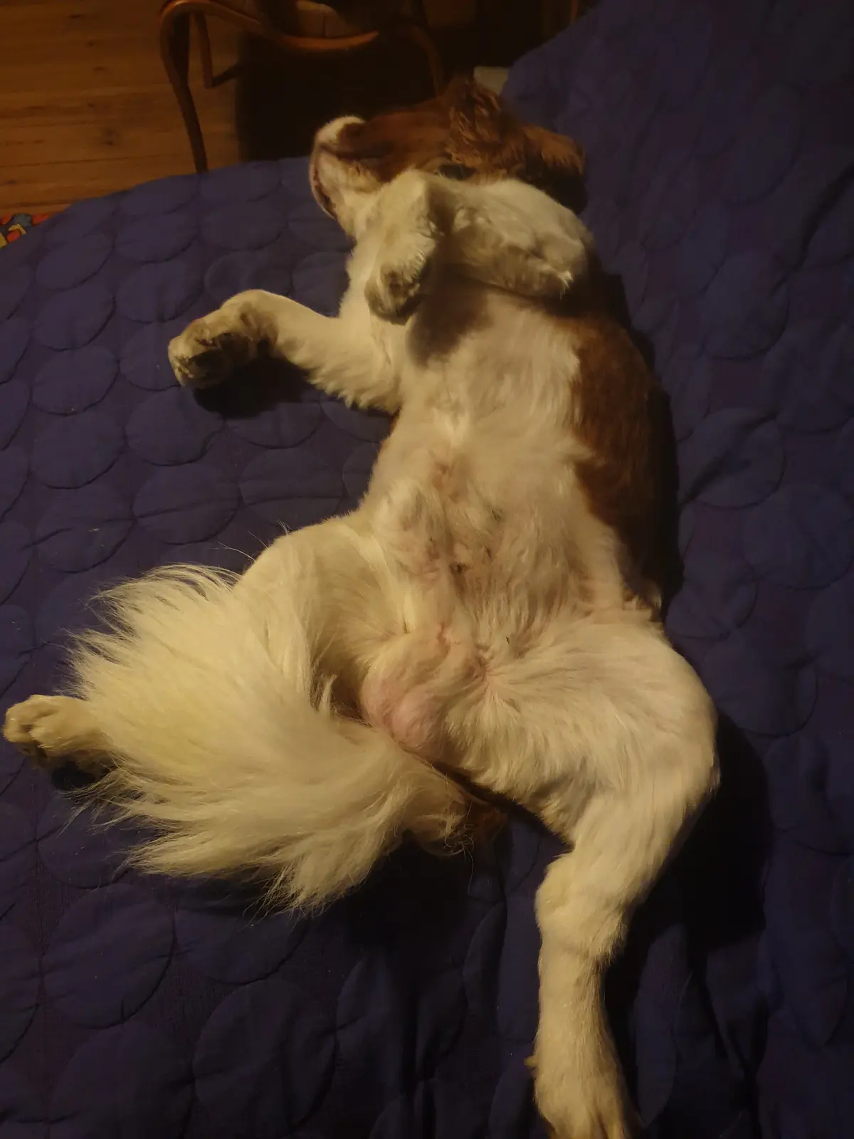 Celebrating my 10th cakeday in style!
