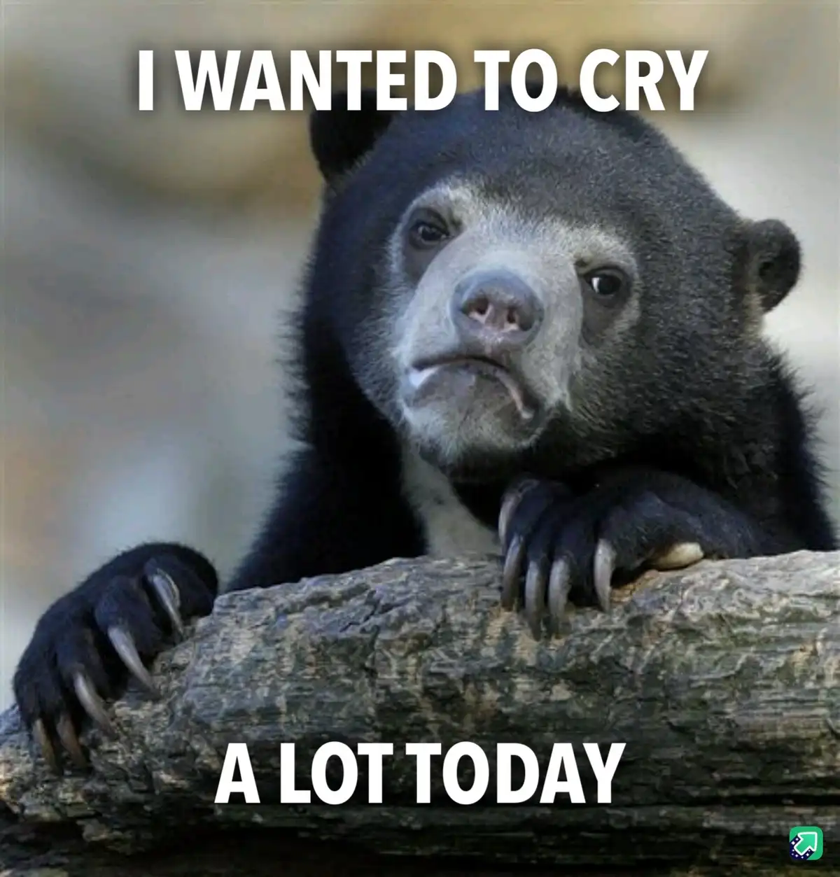 Just One of Those Rough Days