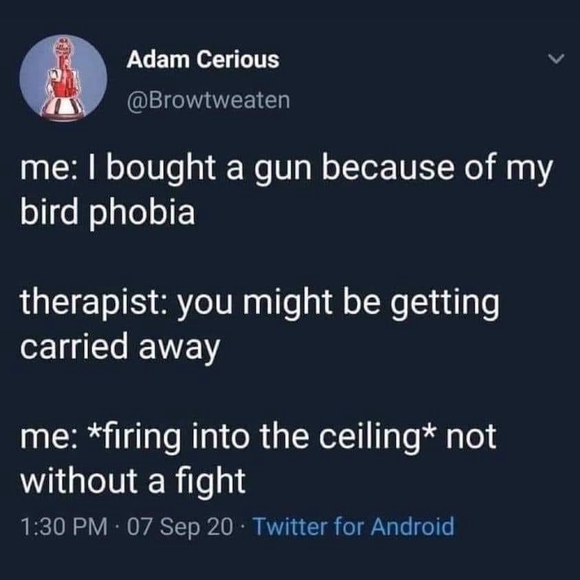 A screenshot of a tweet by Adam Cerious (@Browtweaten) showing a humorous exchange where the user claims to have bought a…