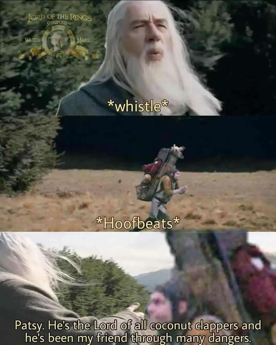 The meme features three panels from 'Lord of the Rings'. The top panel shows Gandalf with a 'LORD OF THE RINGS SHIREFPOSTING…