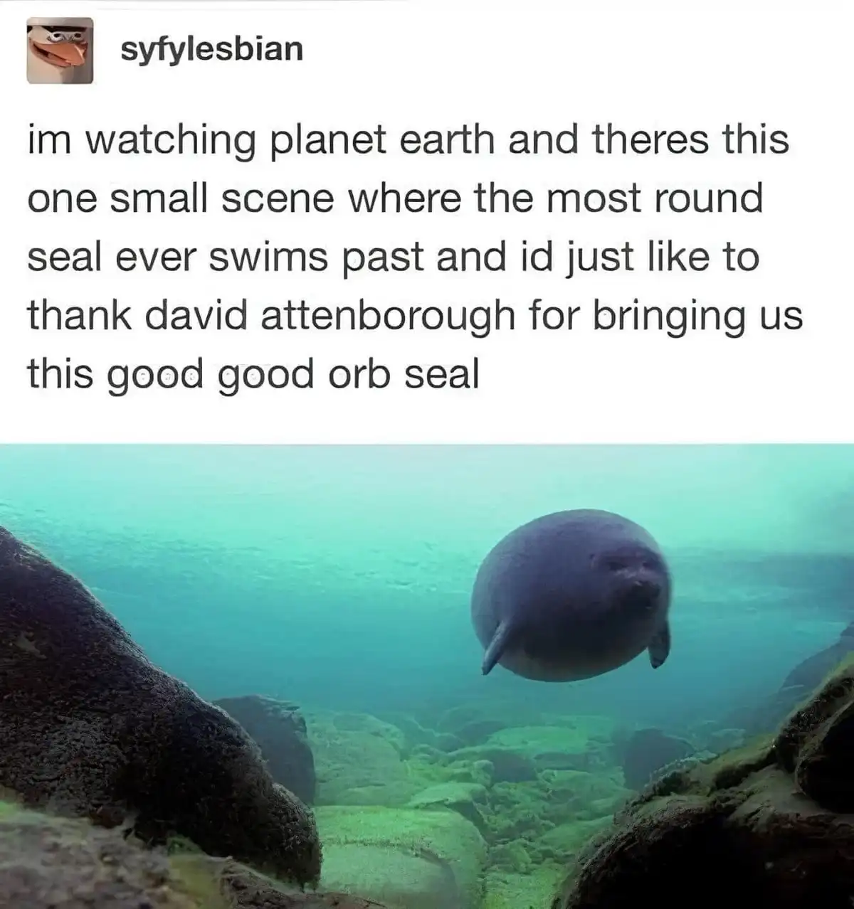 A Collection of Randomly Stolen Treasures