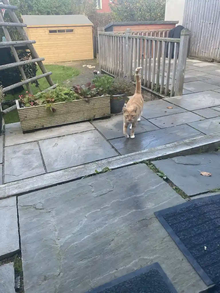 Biscuit's daily dose of cuteness