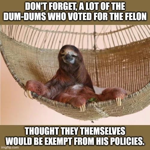 A sloth is lounging in a woven hammock, looking relaxed and slightly smug. The image has two text overlays: the top reads…