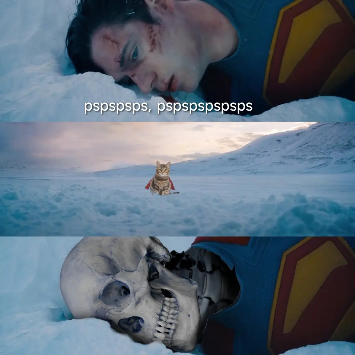 The meme features three panels: the top shows Superman lying injured in snow with text 'pspspsps, pspspspsps'; the middle…