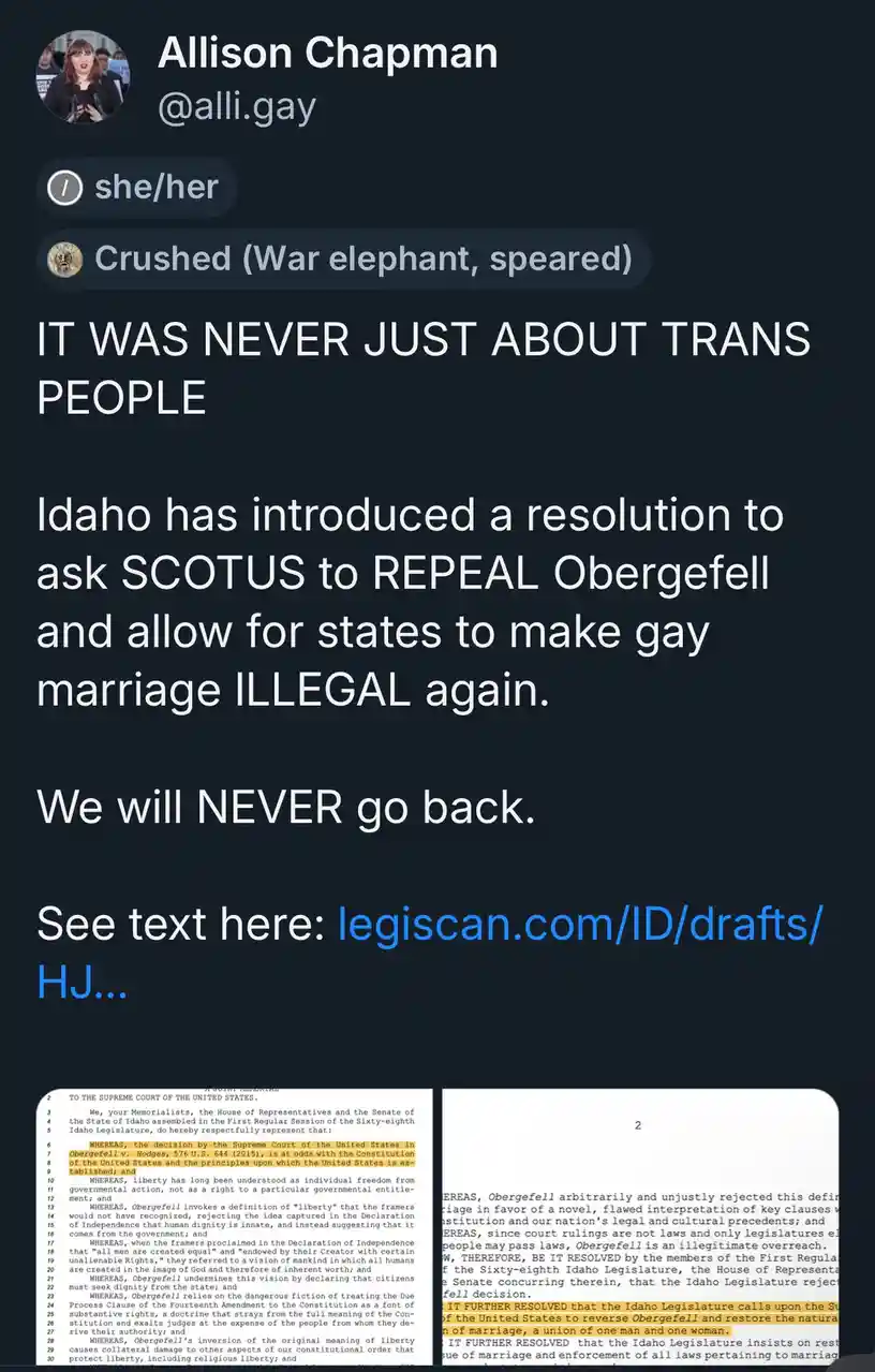 A screenshot of a tweet by Allison Chapman (@allli.gay) with the text 'IT WAS NEVER JUST ABOUT TRANS PEOPLE' followed by a…